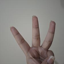 Isyarat fingerspelling huruf E