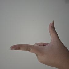 Isyarat fingerspelling huruf L